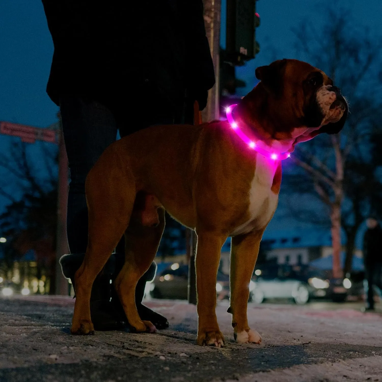2-Pack LED Dog Collar, HIGO Light Up Dog Collars Glow in The Dark, USB Rechargeable Dog Lights for Night Walking, Reusable Safety Necklace for Small Medium Large Dogs (Pink)