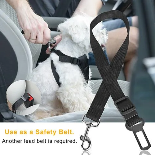 2-Pack: Multipurpose Pet Safety