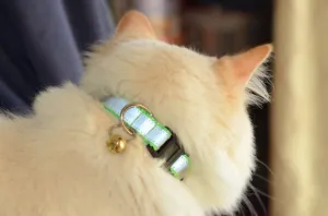 5/8" Extra Wide Breakaway Safety Cat Collar | Solid or Reflective | 20 colors