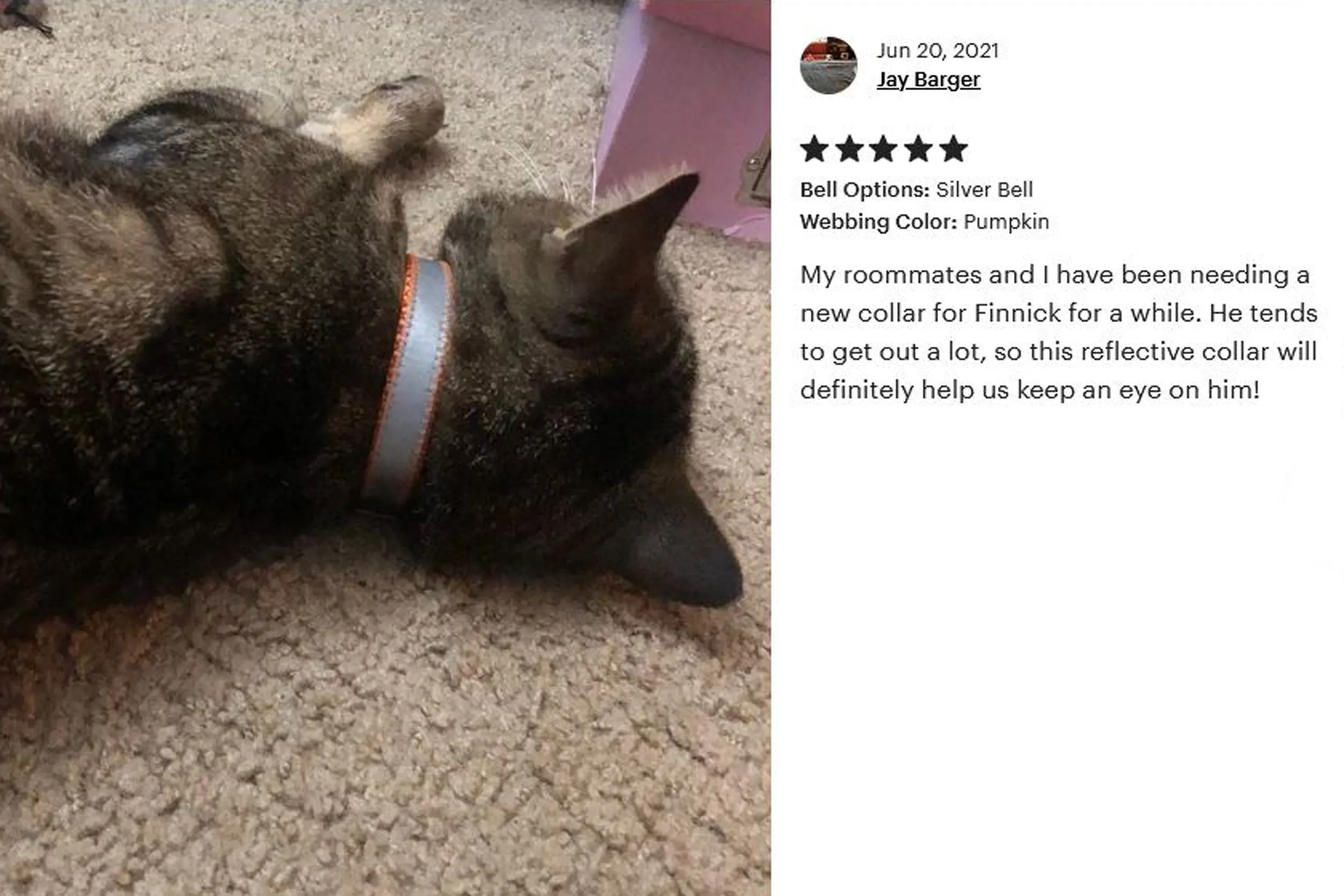 5/8" Extra Wide Breakaway Safety Cat Collar | Solid or Reflective | 20 colors