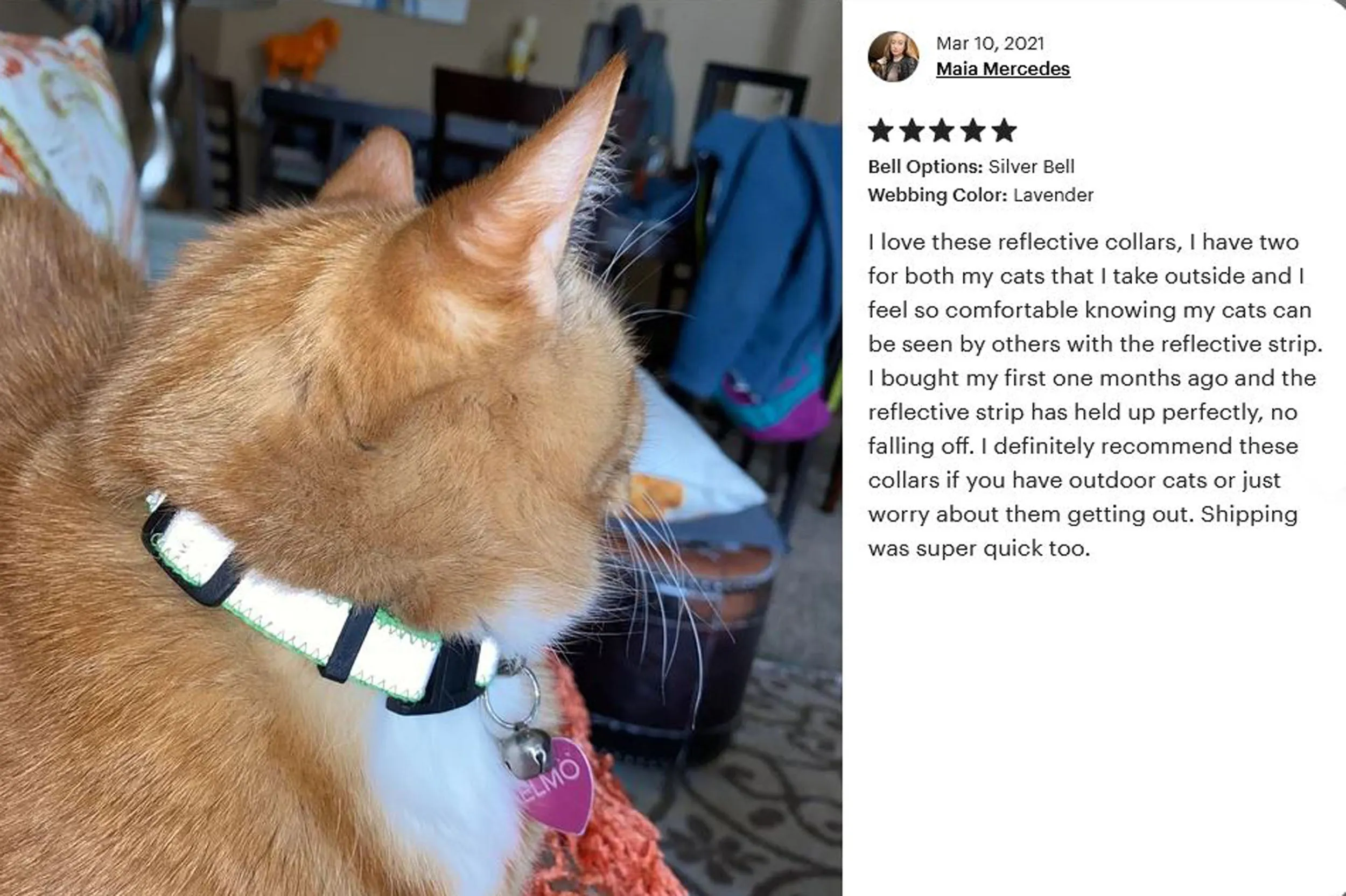 5/8" Extra Wide Breakaway Safety Cat Collar | Solid or Reflective | 20 colors