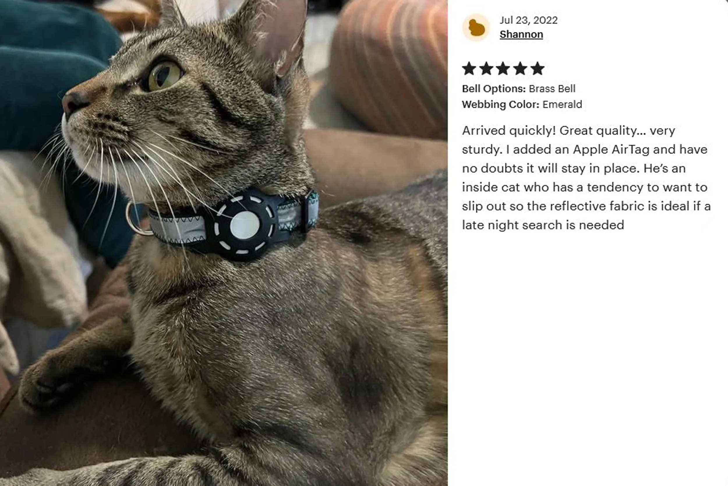 5/8" Extra Wide Breakaway Safety Cat Collar | Solid or Reflective | 20 colors