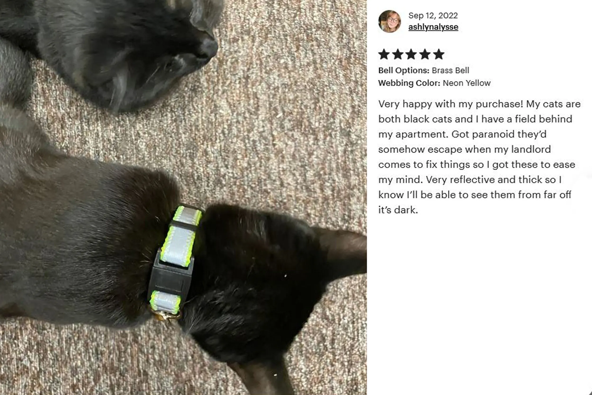 5/8" Extra Wide Breakaway Safety Cat Collar | Solid or Reflective | 20 colors