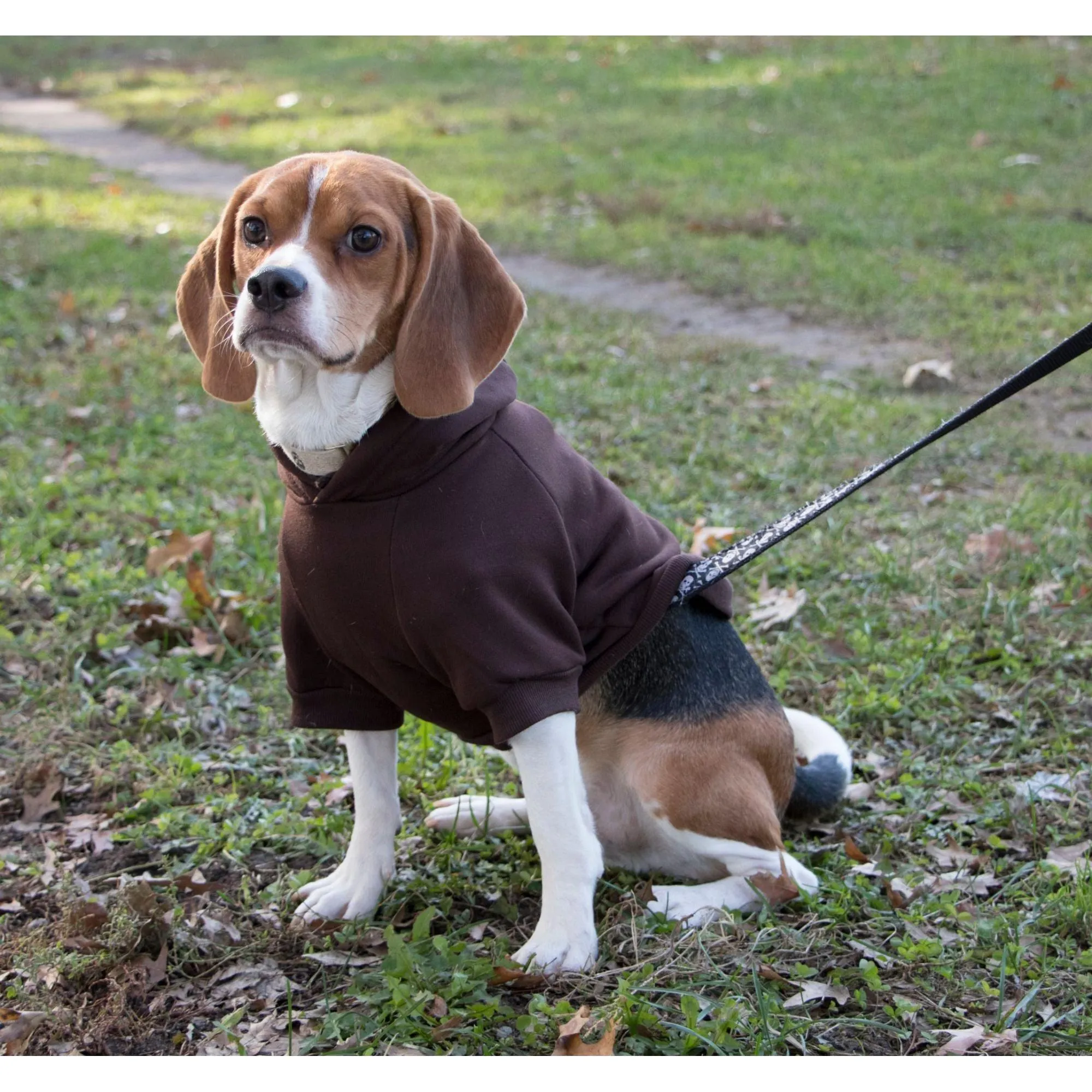 Adjustable Cotton Pet Hoodie