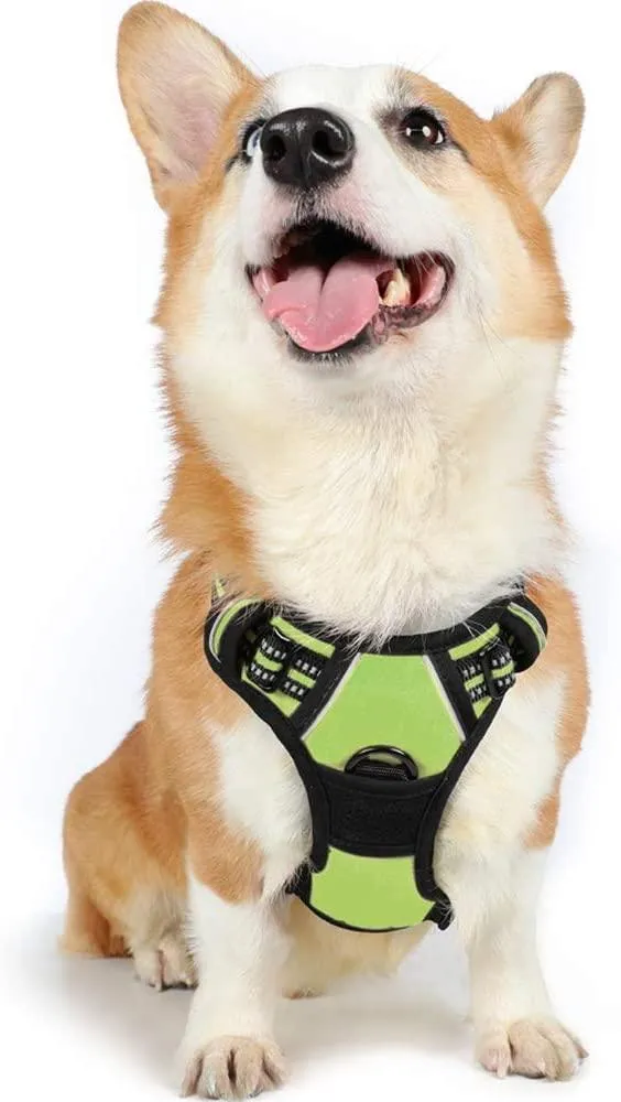 Adjustable No-Pull Pet Harness