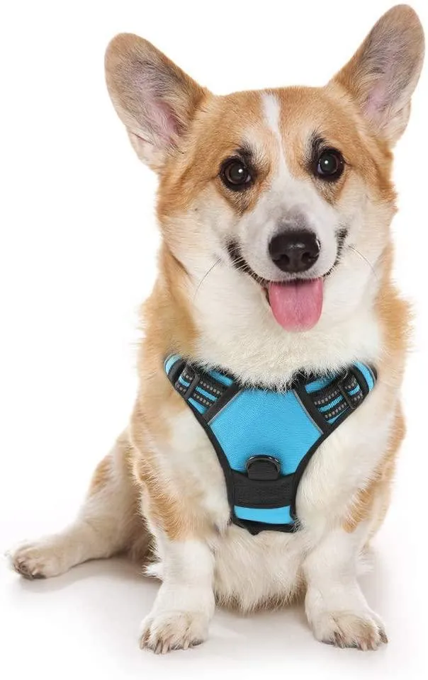 Adjustable No-Pull Pet Harness