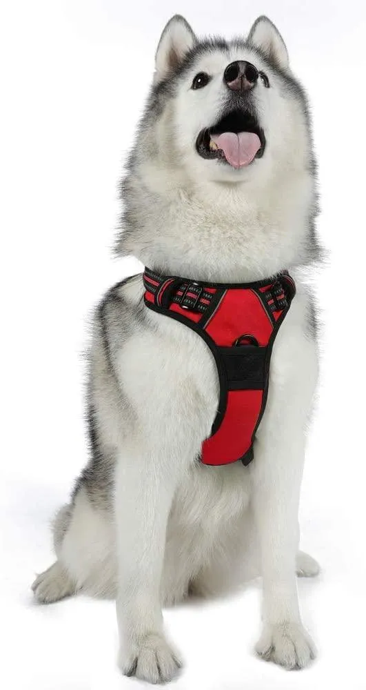 Adjustable No-Pull Pet Harness