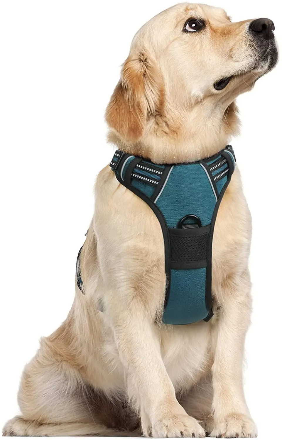 Adjustable No-Pull Pet Harness