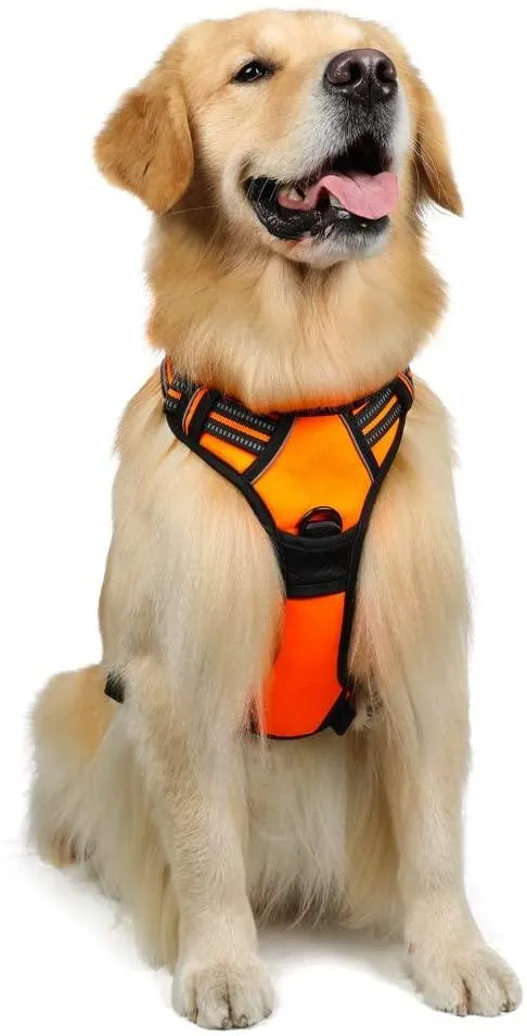 Adjustable No-Pull Pet Harness