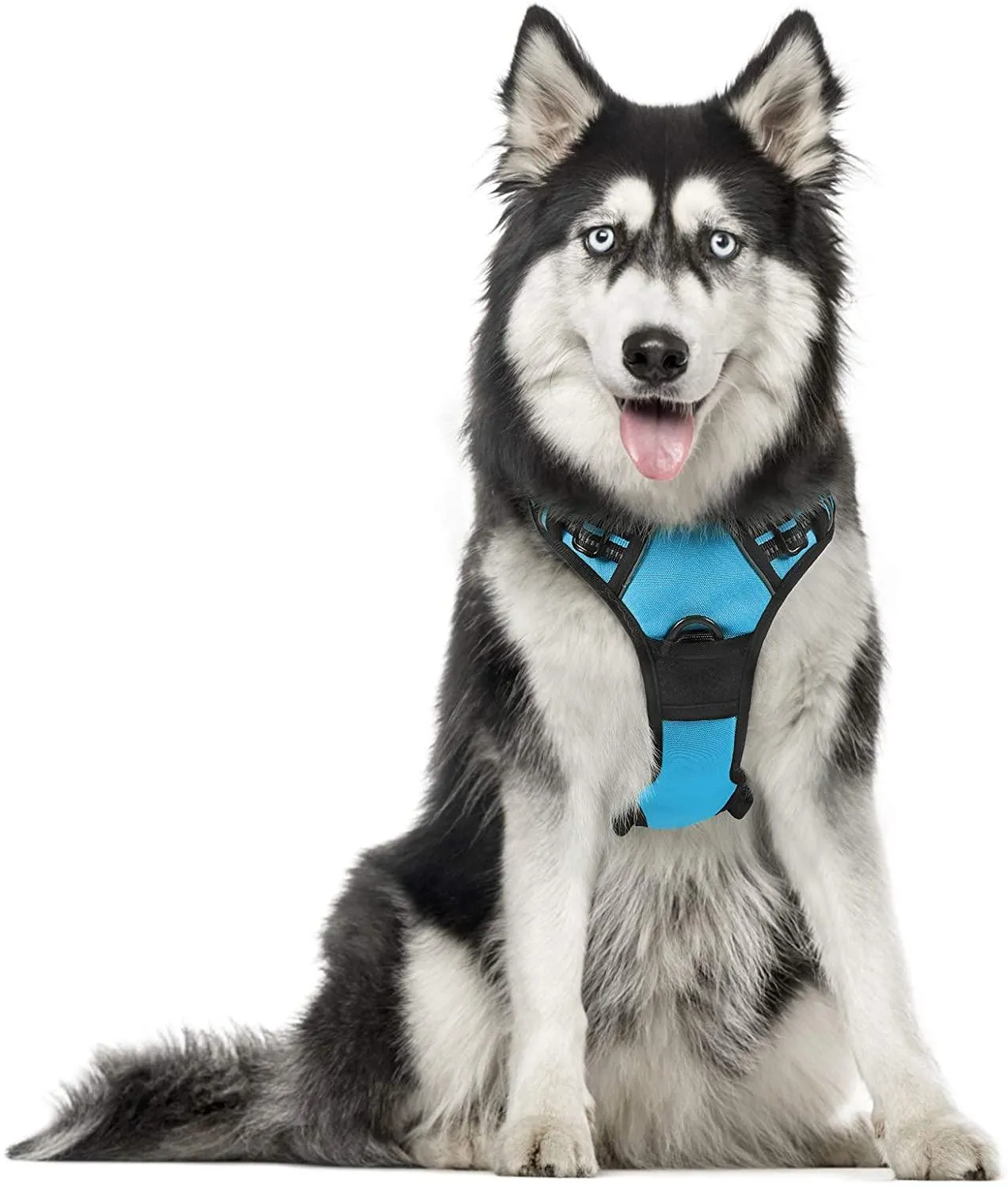 Adjustable No-Pull Pet Harness