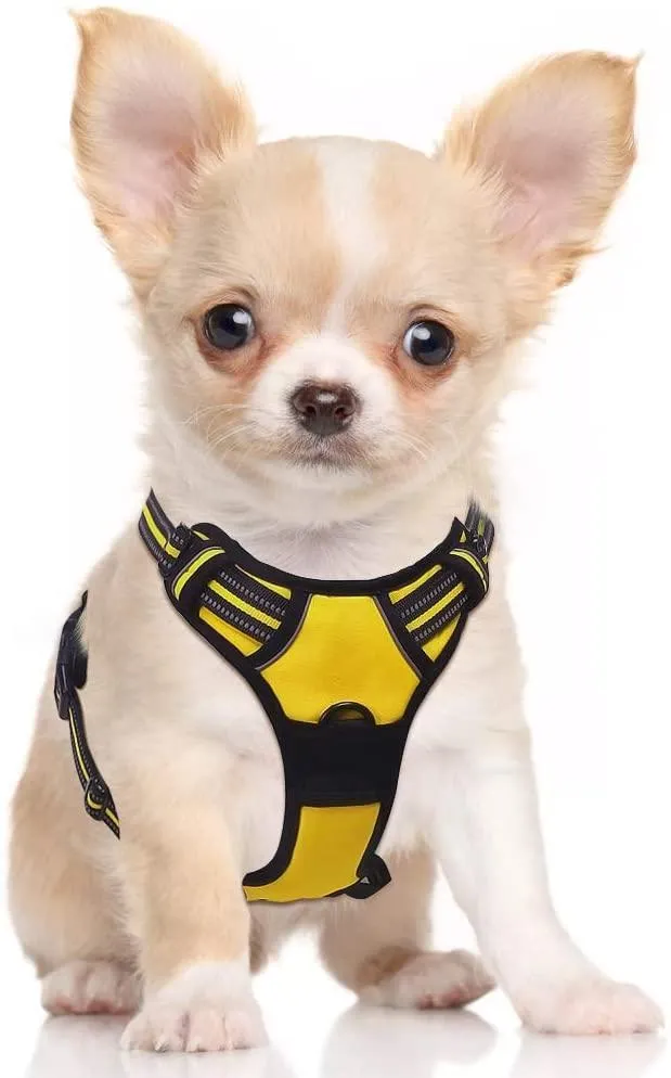 Adjustable No-Pull Pet Harness