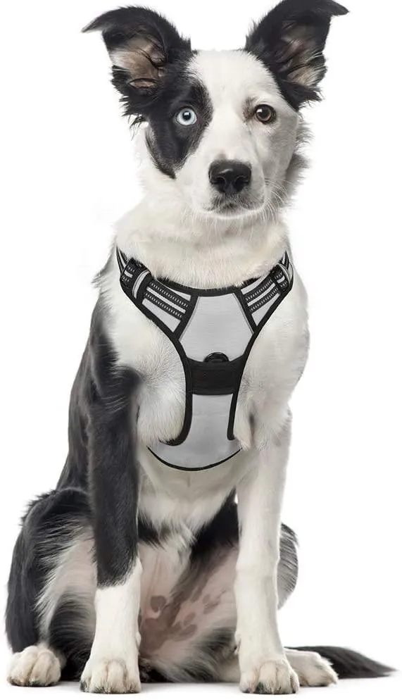Adjustable No-Pull Pet Harness