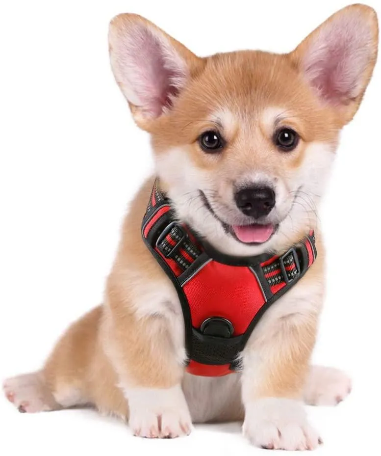 Adjustable No-Pull Pet Harness