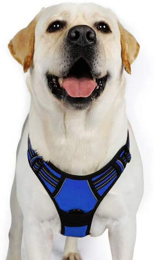 Adjustable No-Pull Pet Harness