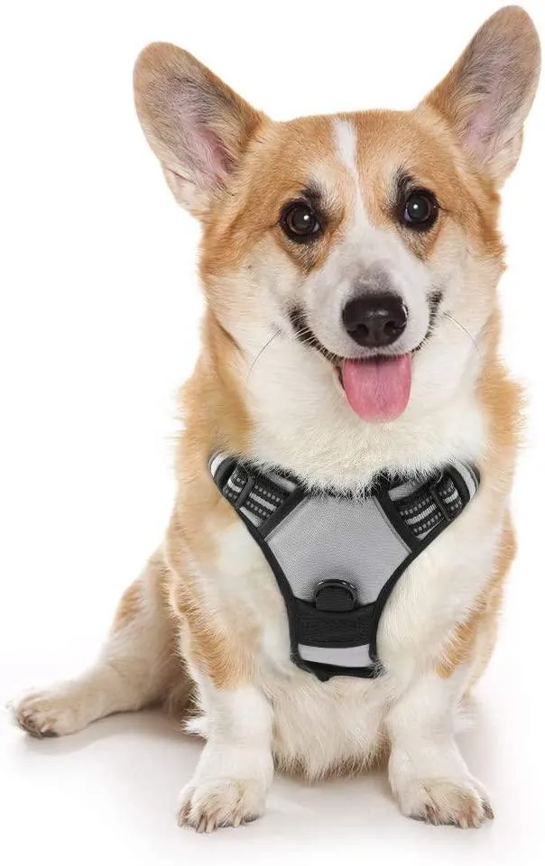 Adjustable No-Pull Pet Harness