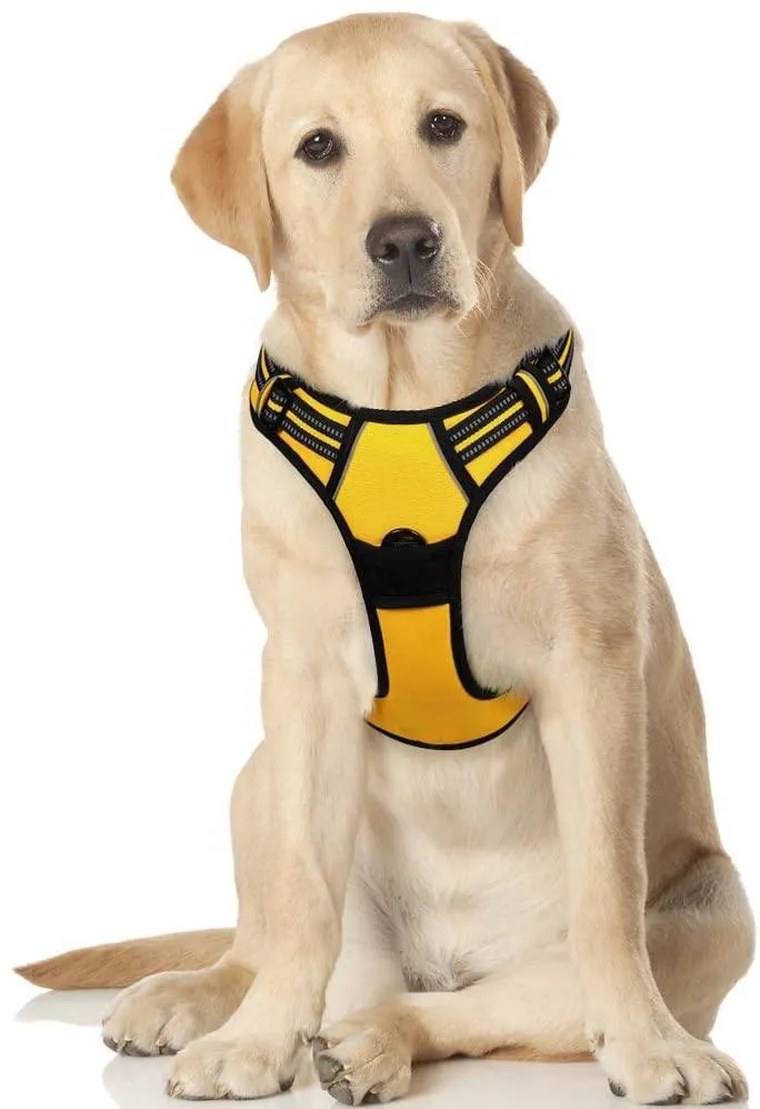 Adjustable No-Pull Pet Harness