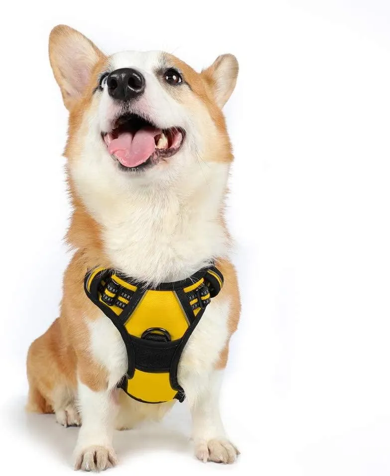 Adjustable No-Pull Pet Harness