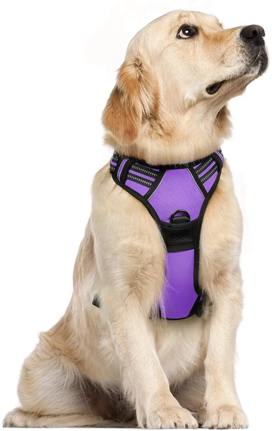 Adjustable No-Pull Pet Harness