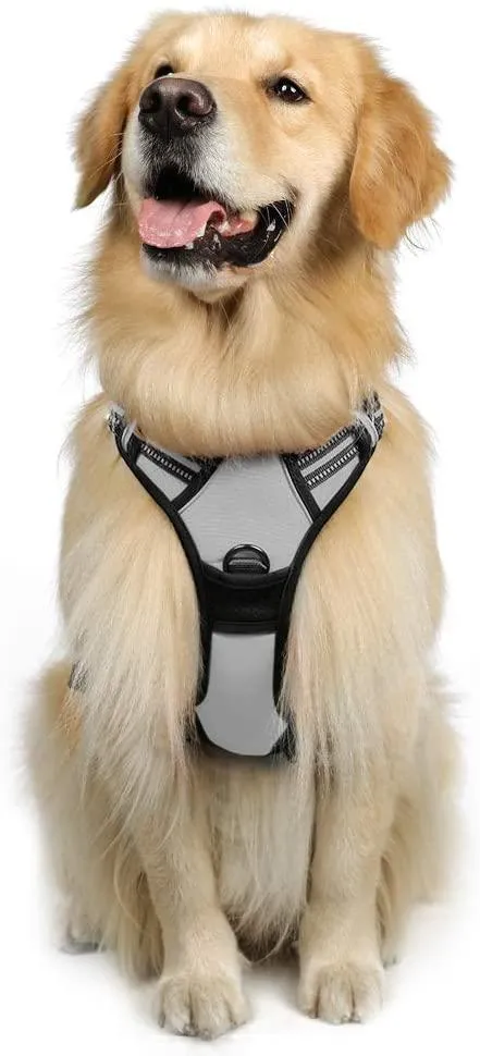 Adjustable No-Pull Pet Harness