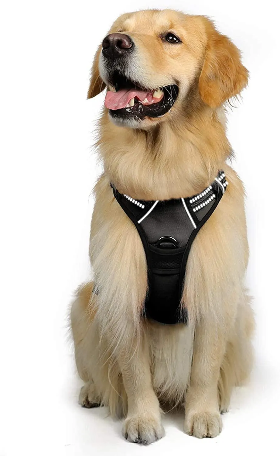 Adjustable No-Pull Pet Harness