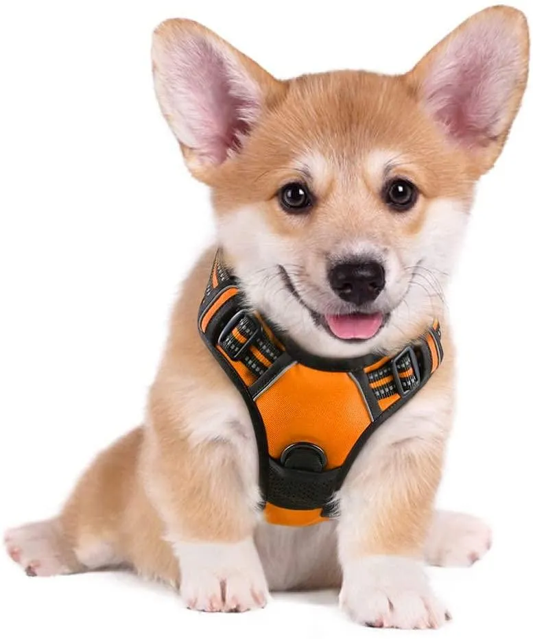 Adjustable No-Pull Pet Harness