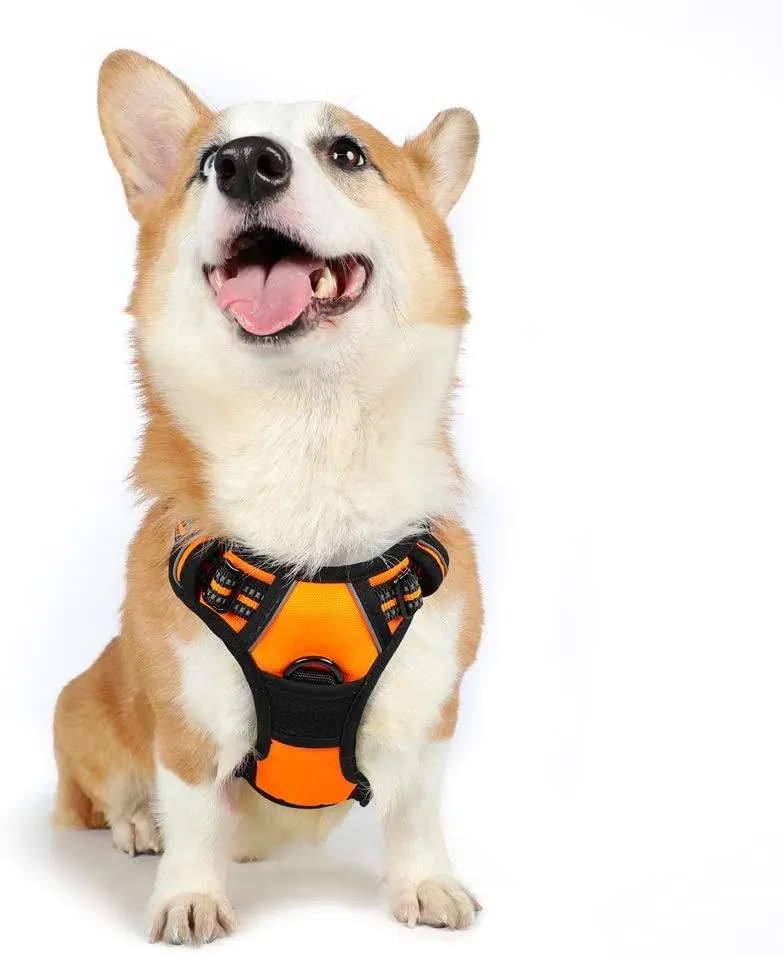 Adjustable No-Pull Pet Harness
