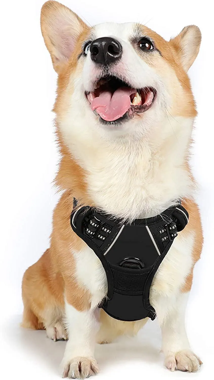 Adjustable No-Pull Pet Harness