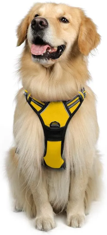 Adjustable No-Pull Pet Harness