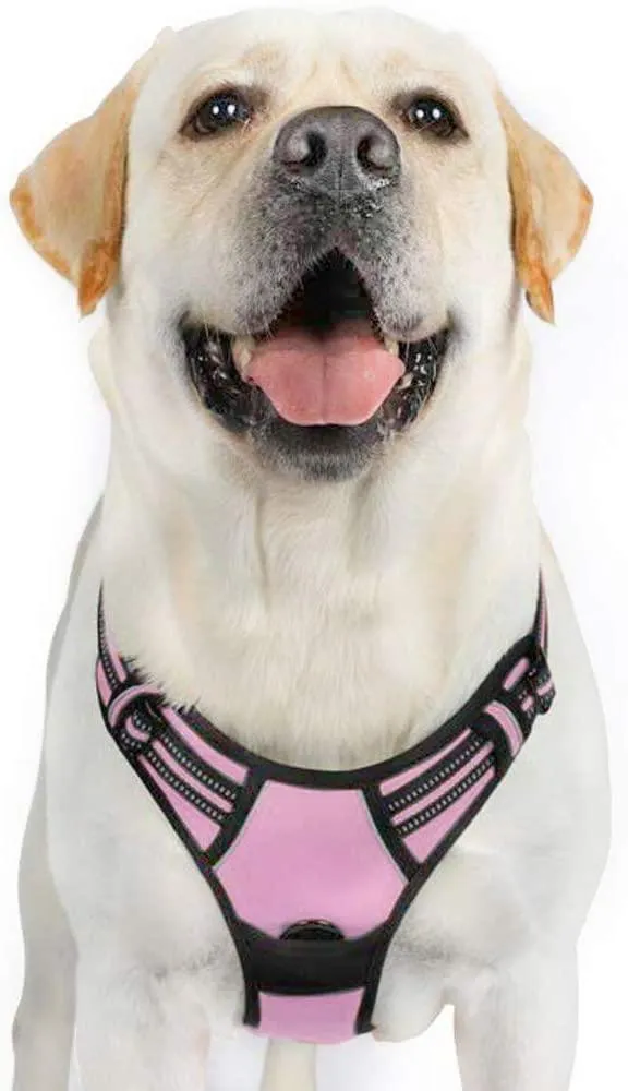 Adjustable No-Pull Pet Harness