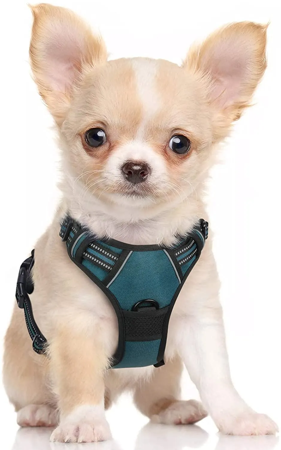 Adjustable No-Pull Pet Harness
