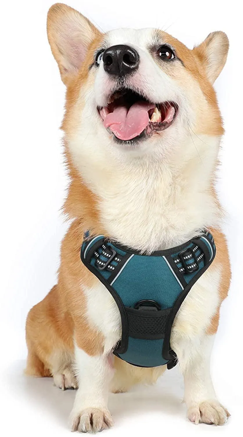 Adjustable No-Pull Pet Harness