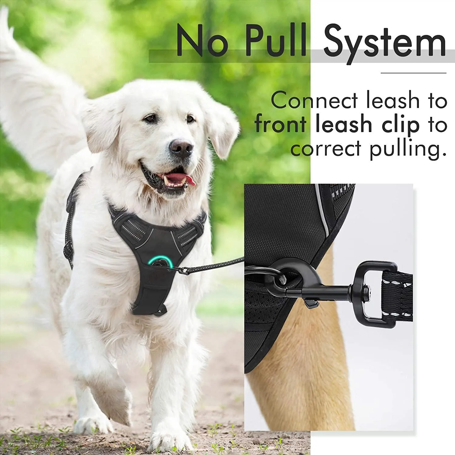 Adjustable No-Pull Pet Harness