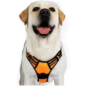Adjustable No-Pull Pet Harness