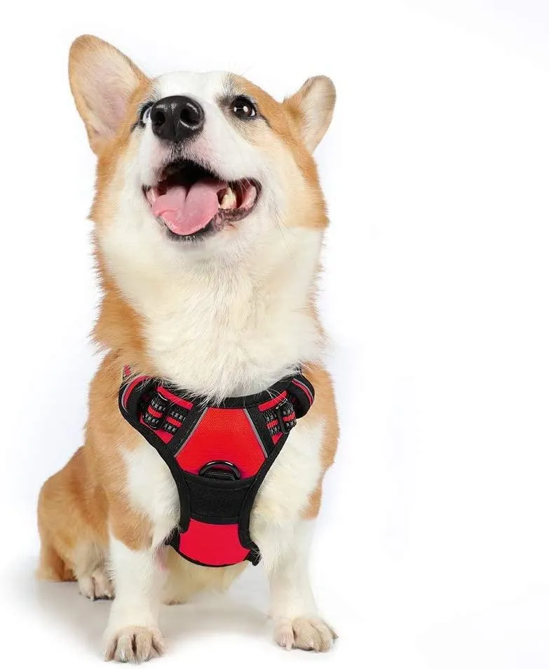 Adjustable No-Pull Pet Harness