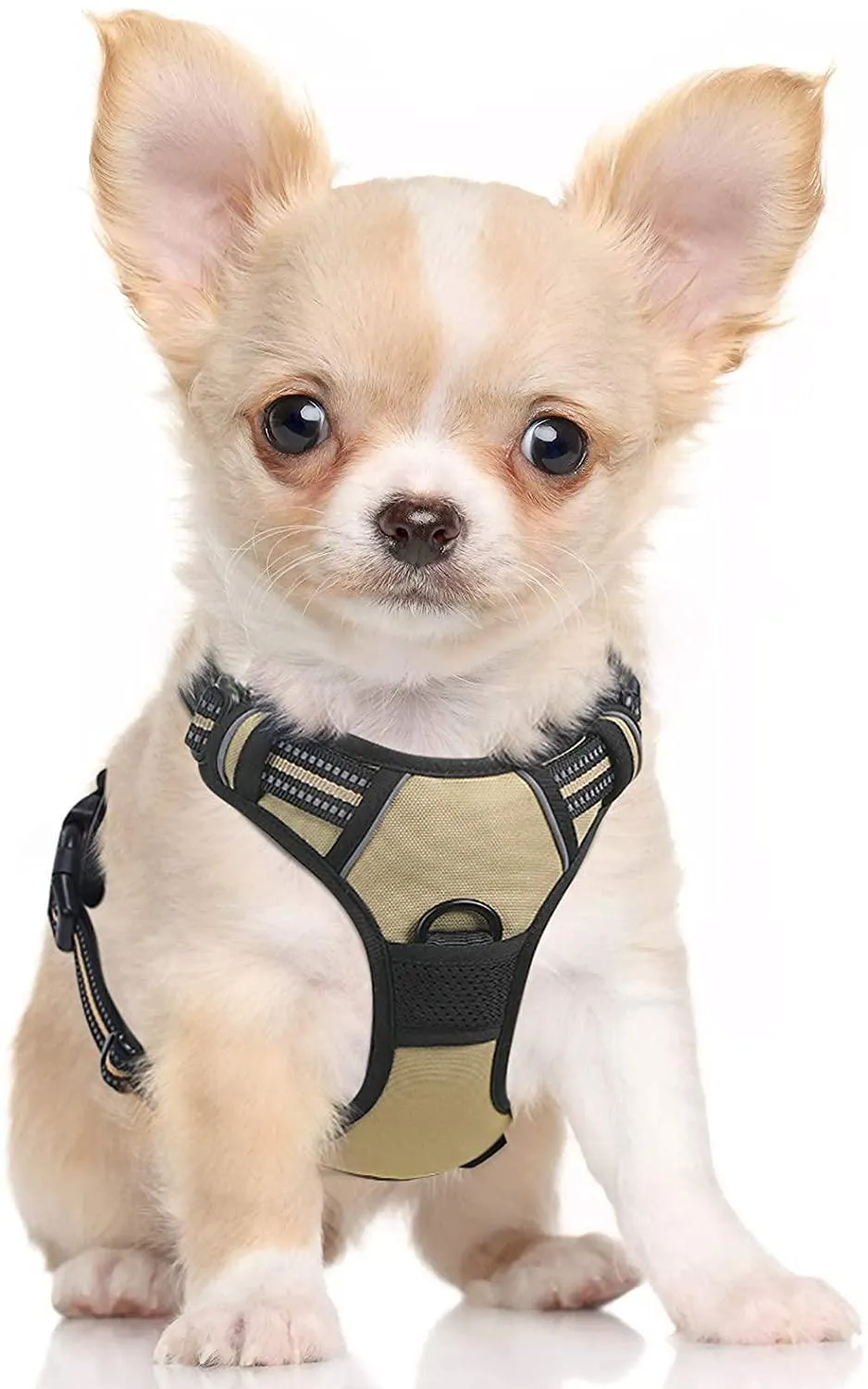 Adjustable No-Pull Pet Harness