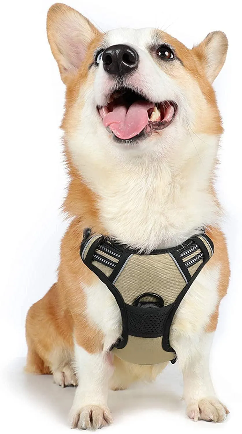 Adjustable No-Pull Pet Harness