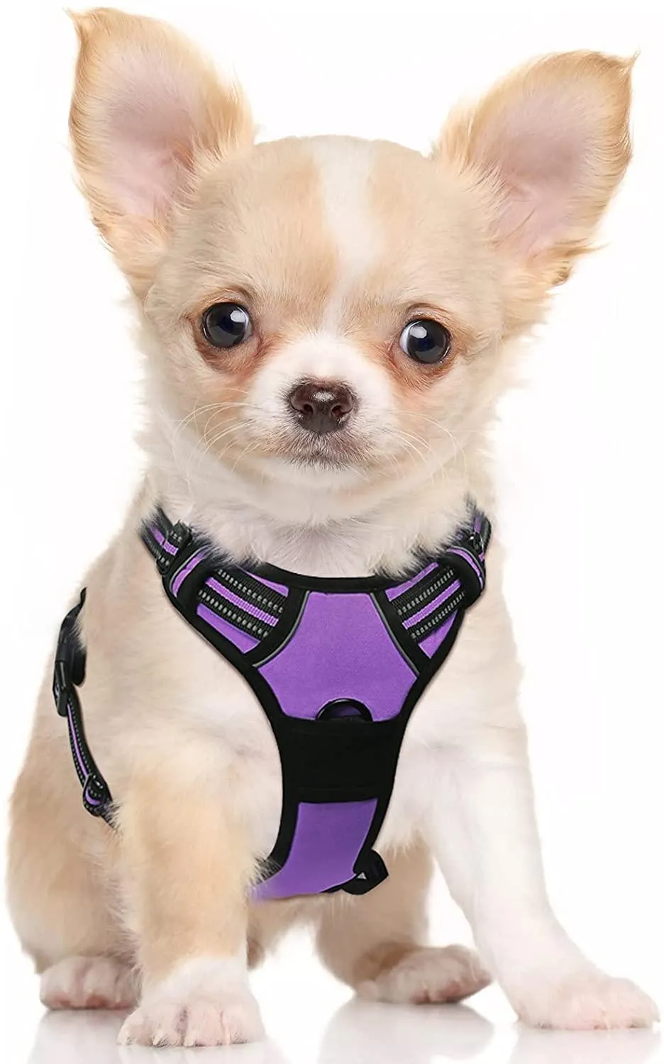 Adjustable No-Pull Pet Harness