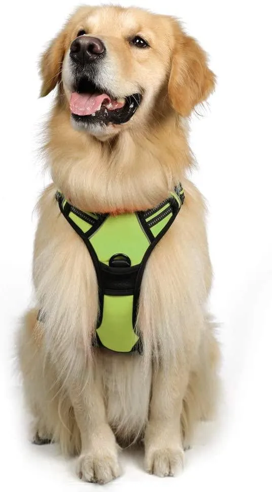 Adjustable No-Pull Pet Harness