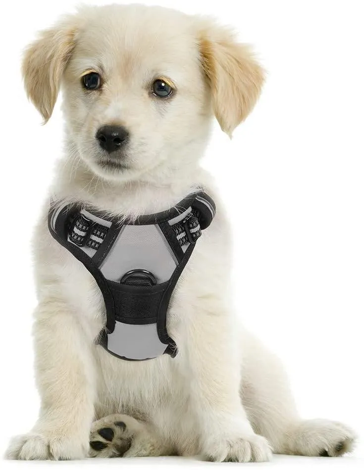 Adjustable No-Pull Pet Harness