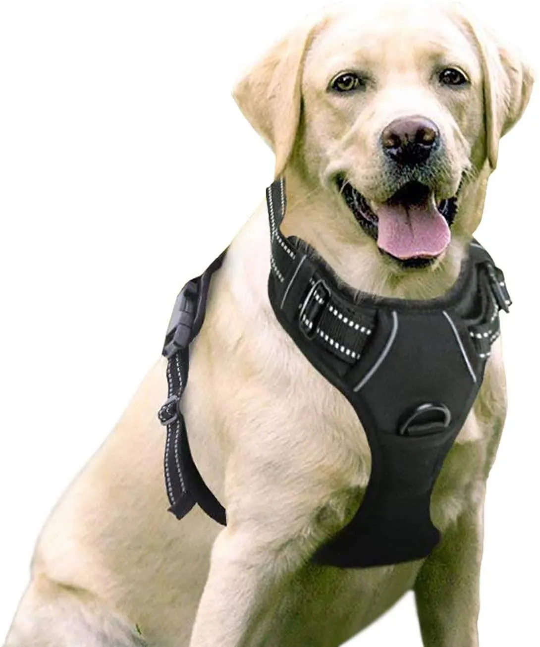 Adjustable No-Pull Pet Harness