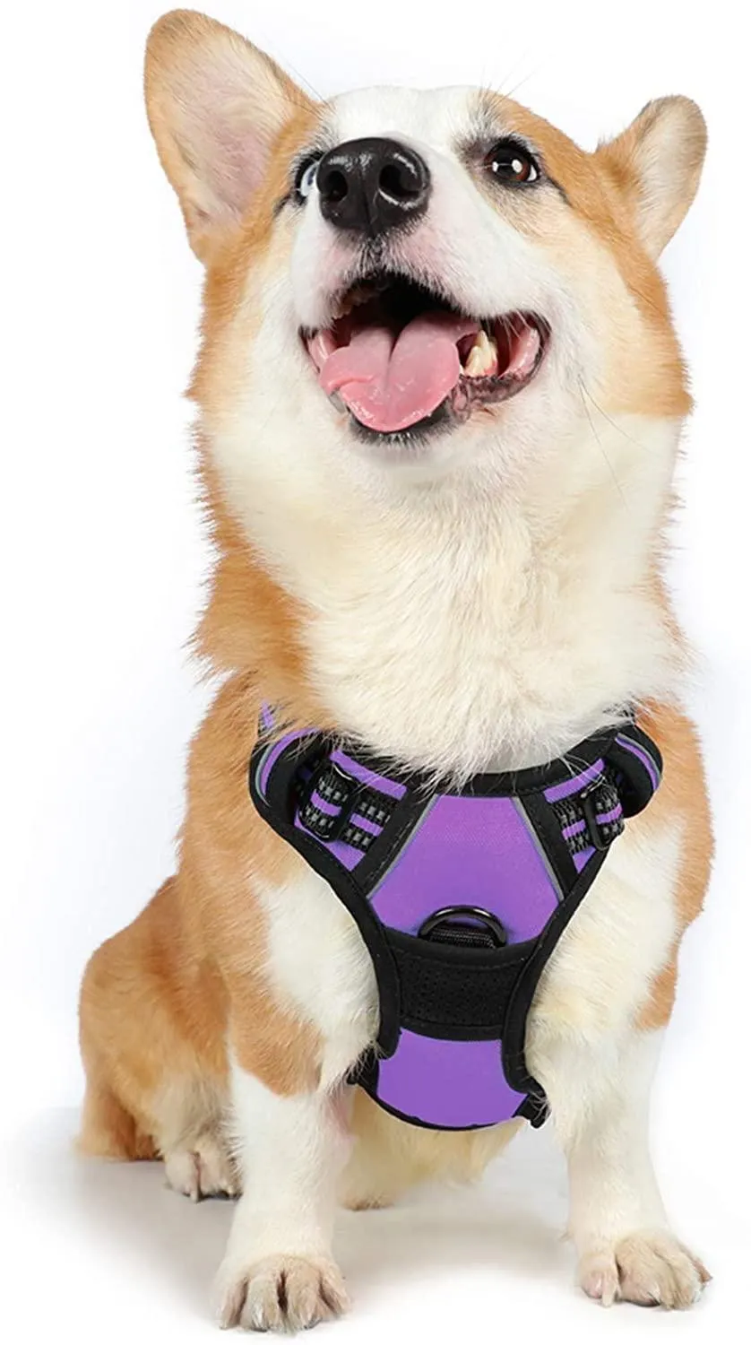Adjustable No-Pull Pet Harness