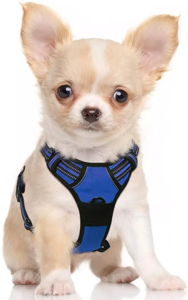 Adjustable No-Pull Pet Harness
