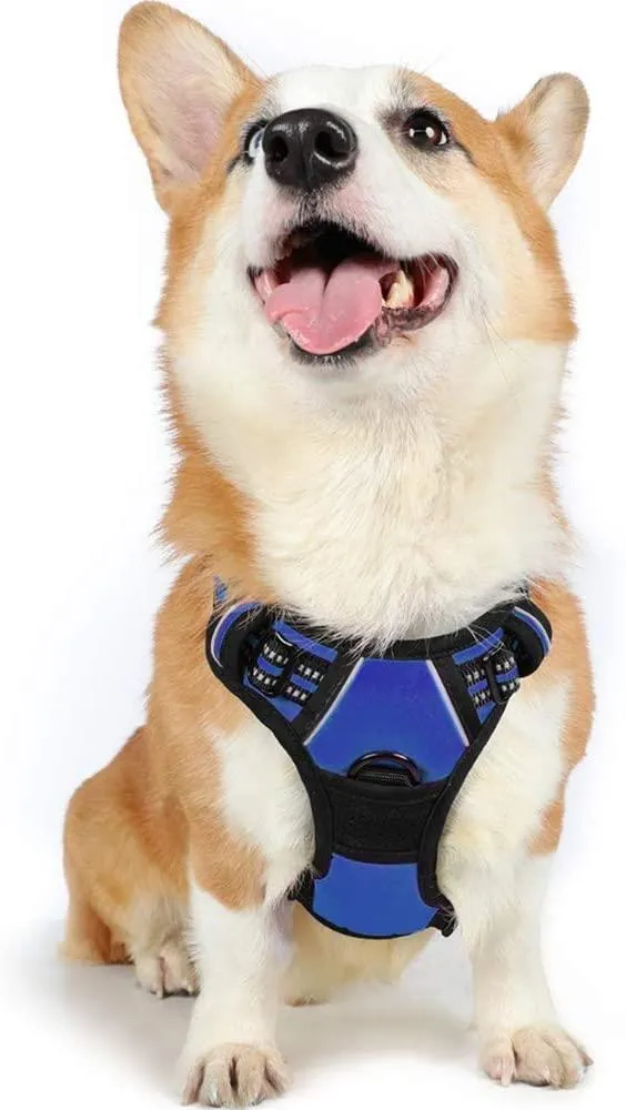 Adjustable No-Pull Pet Harness