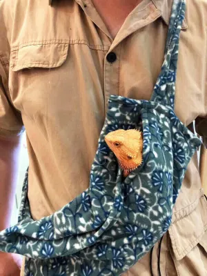 Adjustable Reptile Sling - Reptile Carrier
