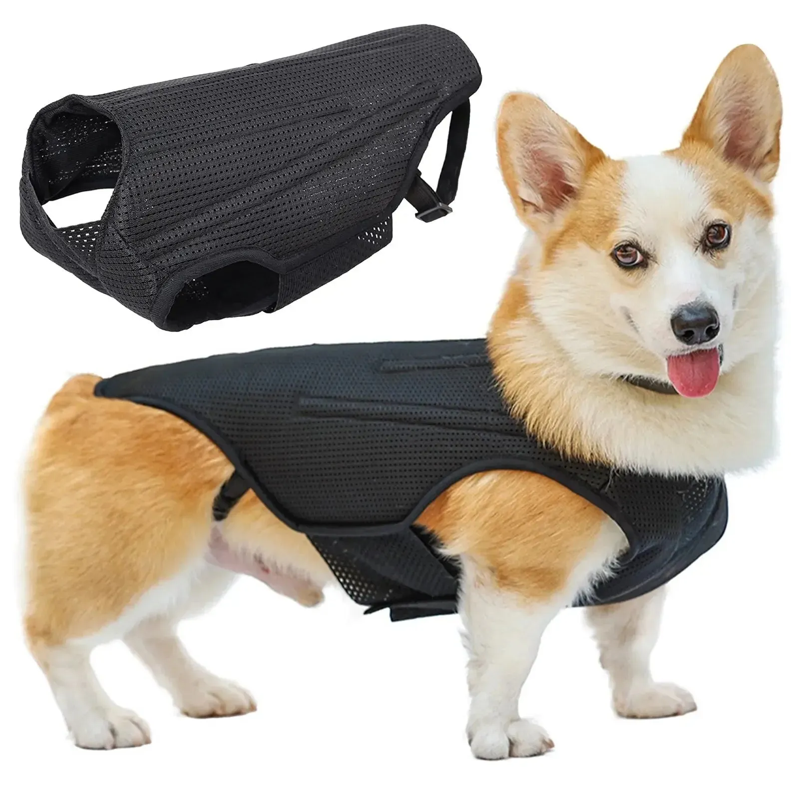 AnniePaw CareTech Dog Back Support Brace Comfort Vest All Sizes