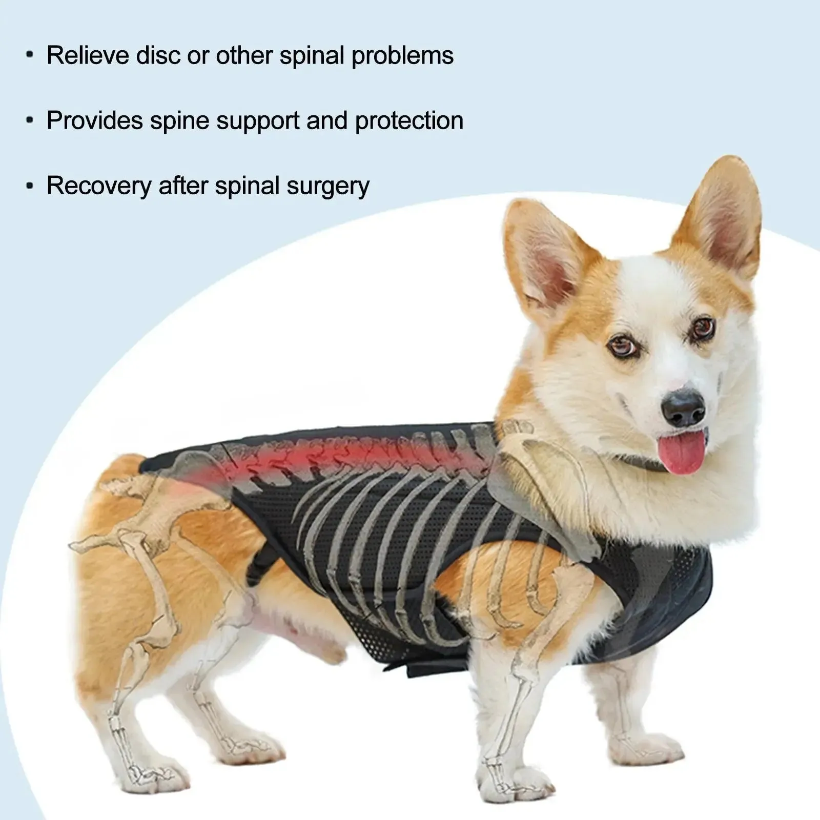 AnniePaw CareTech Dog Back Support Brace Comfort Vest All Sizes