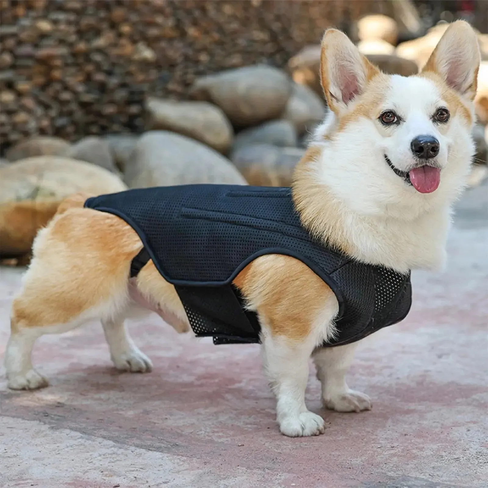AnniePaw CareTech Dog Back Support Brace Comfort Vest All Sizes