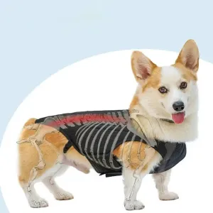 AnniePaw CareTech Dog Back Support Brace Comfort Vest All Sizes