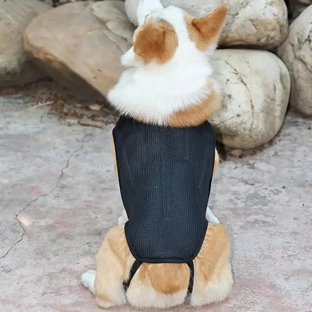 AnniePaw CareTech Dog Back Support Brace Comfort Vest All Sizes