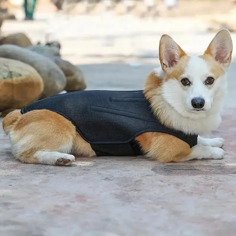 AnniePaw CareTech Dog Back Support Brace Comfort Vest All Sizes